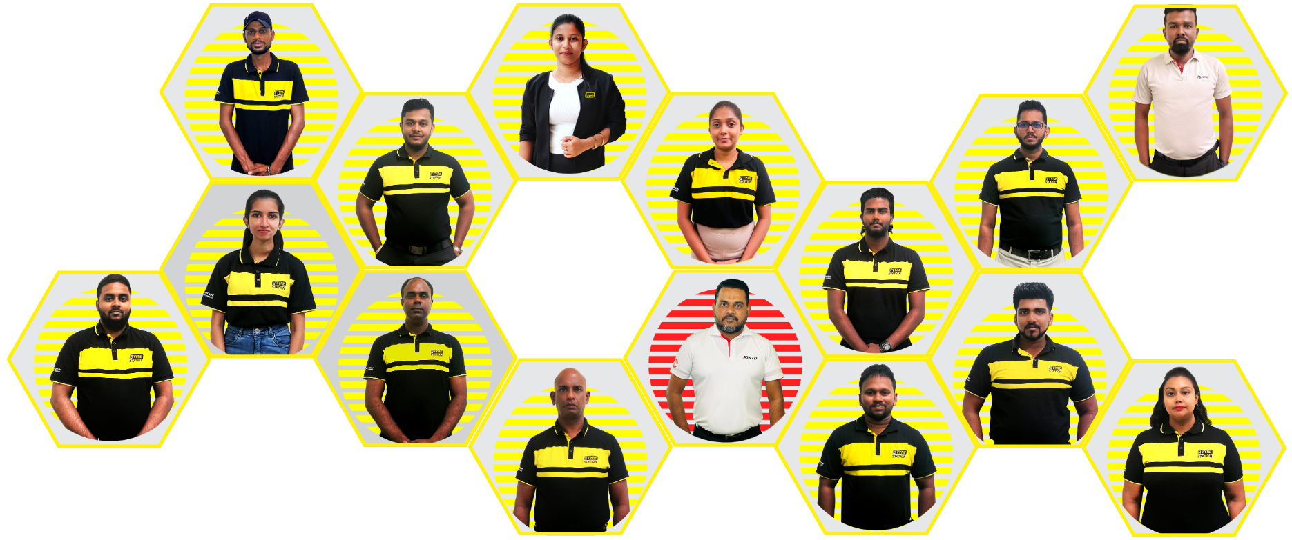Our Team